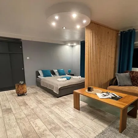 Apartamenty Pod Uwalonym Dębem Jezow Sudecki Zewnętrze zdjęcie