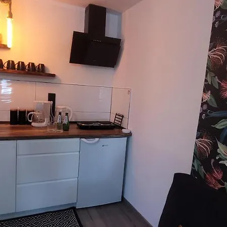 Apartamenty Pod Uwalonym Dębem Jezow Sudecki Zewnętrze zdjęcie